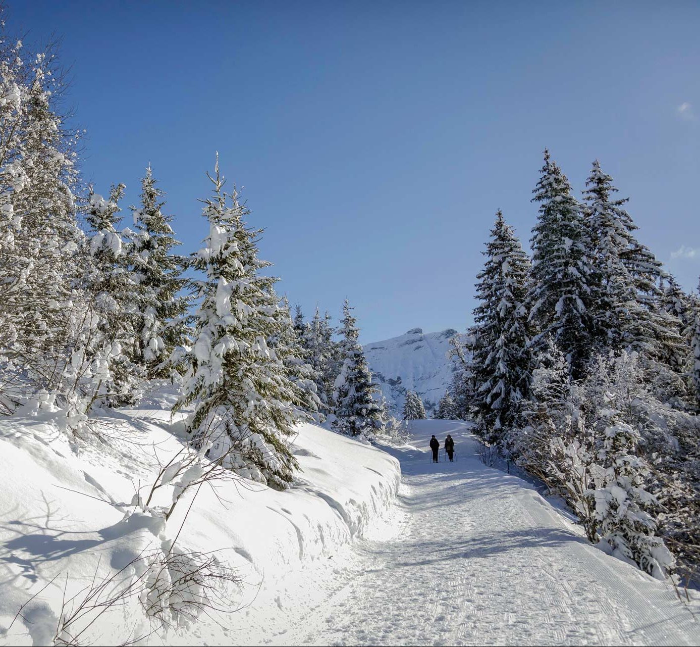 sentieri-escursioni-invernali-megeve_01