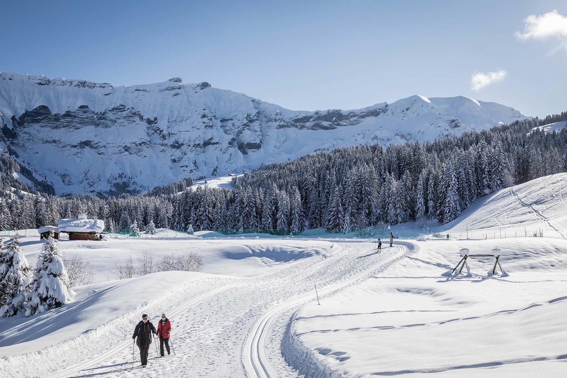 Wanderwege-Wandern-Winter-Megeve_02