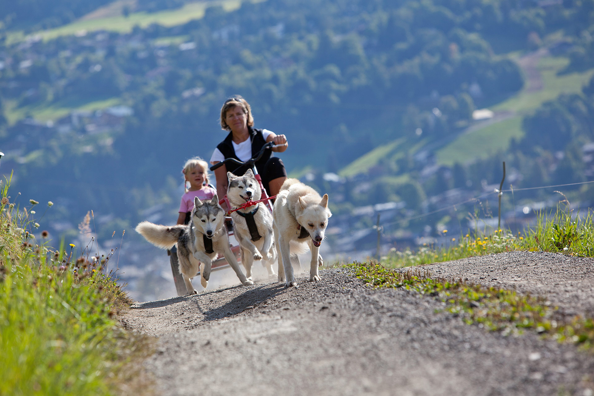 cani-rando-attività-estiva-megeve-outdoor_02