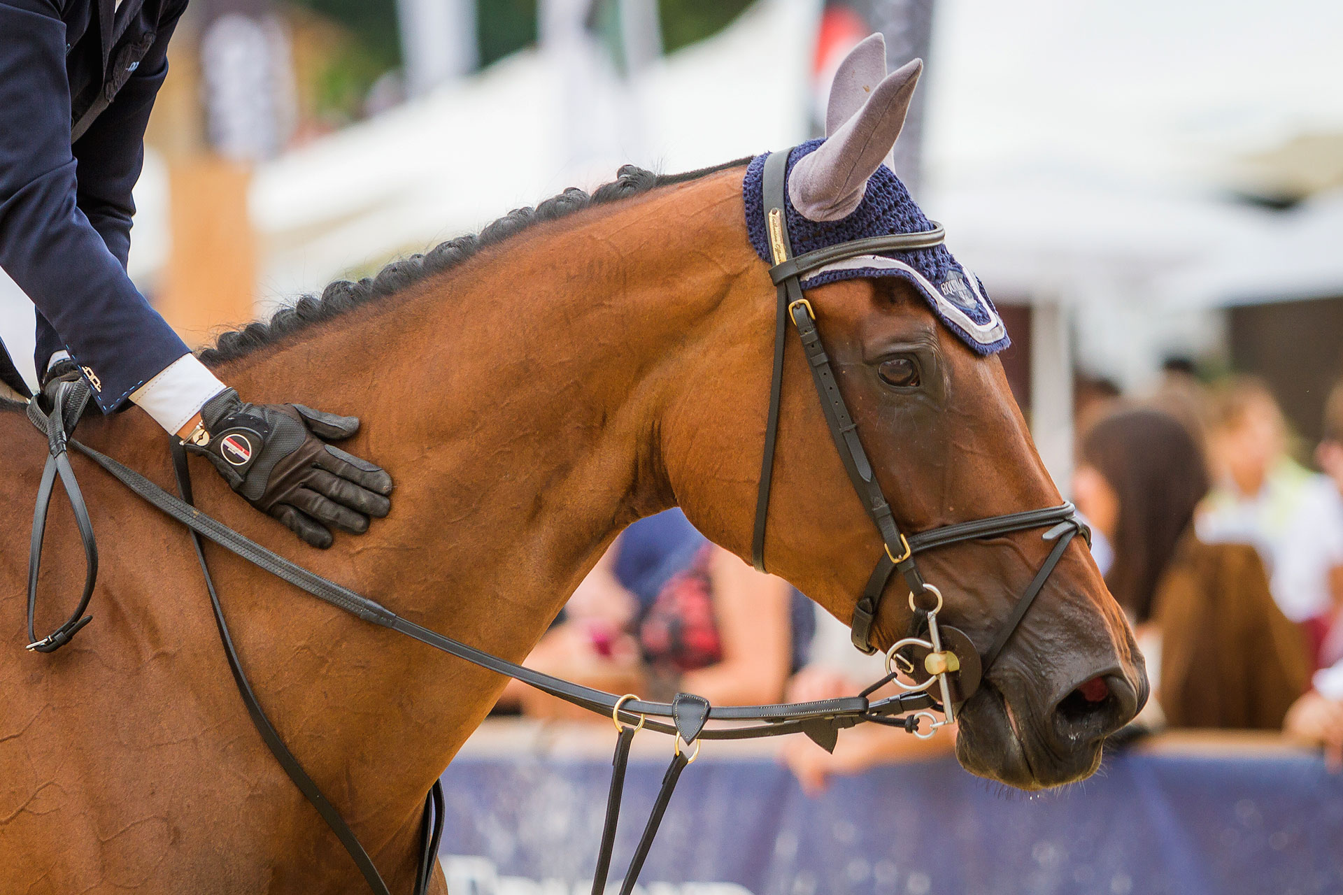 jumping-international-megeve-2014_02