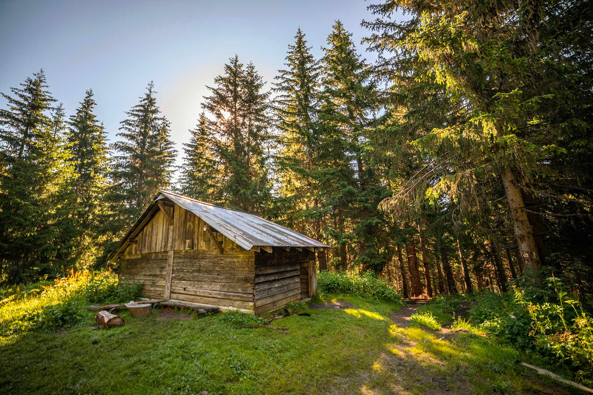 Wandern-Berge-Holz-Wälder-Megeve-Jaillet