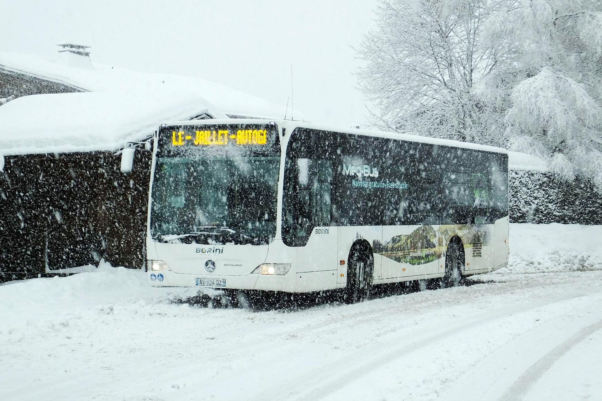 ônibus-meg-ônibus