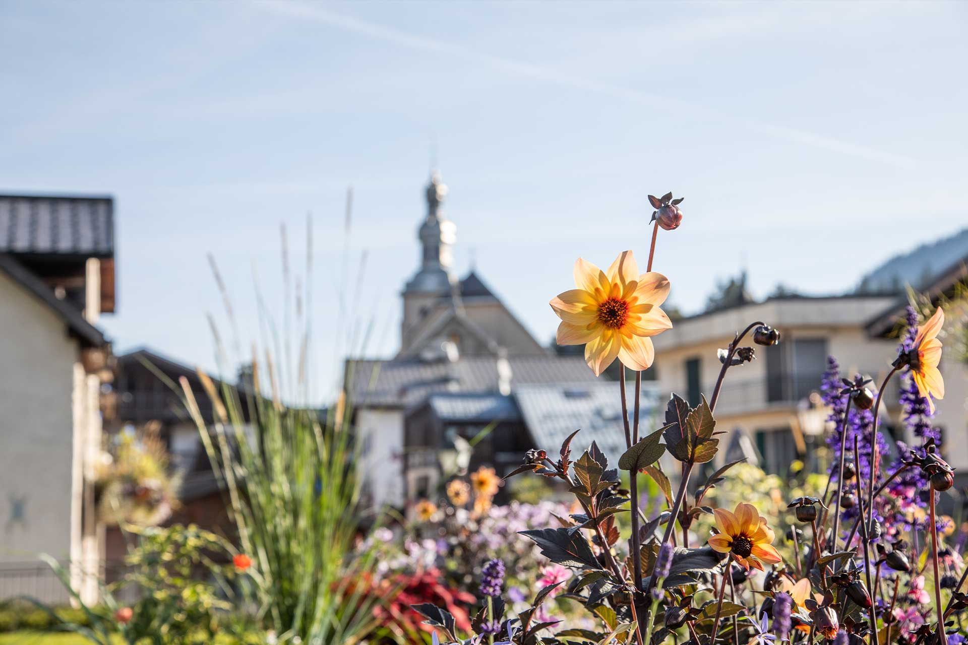 Village été fleurs