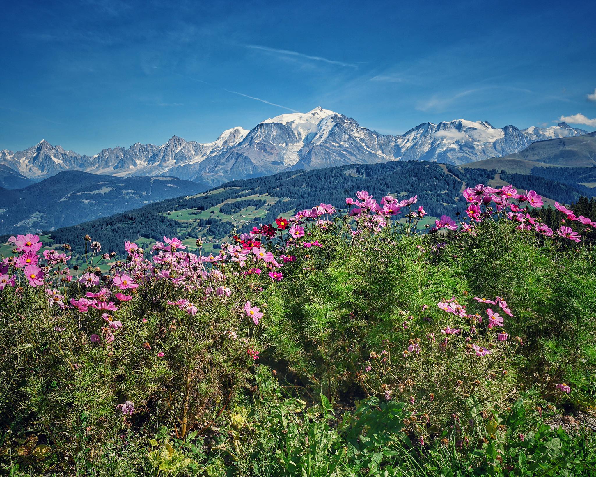 Top 5 des plus beaux panoramas en été selon Megève Forever