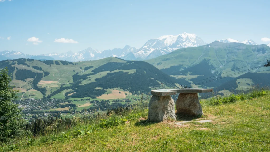 Rochebrune été nature vue