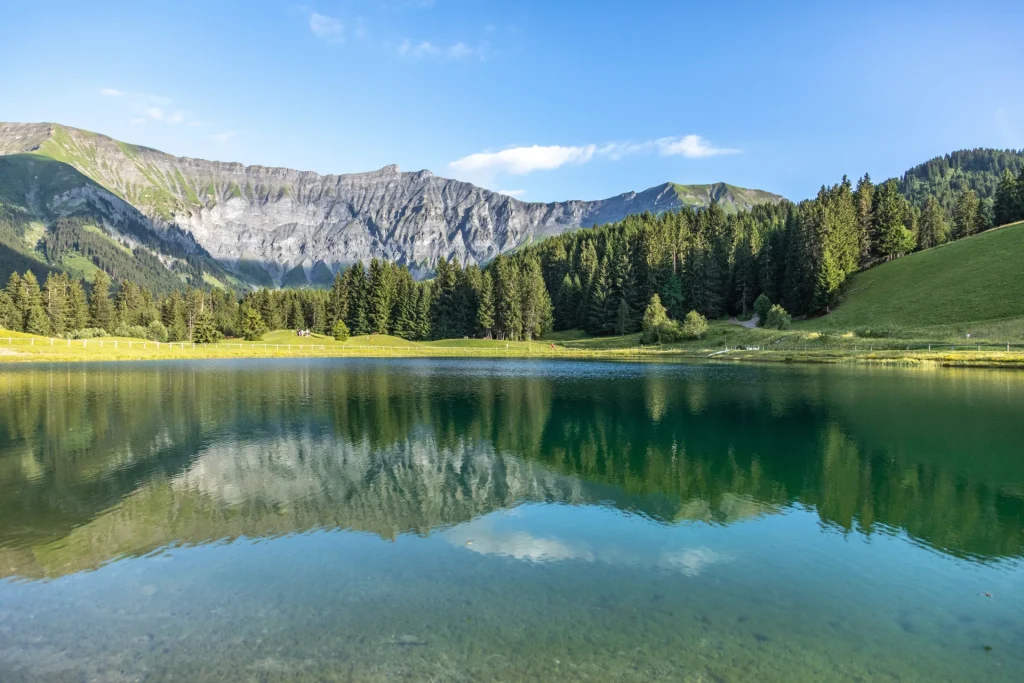 lac Javen vue été webcam