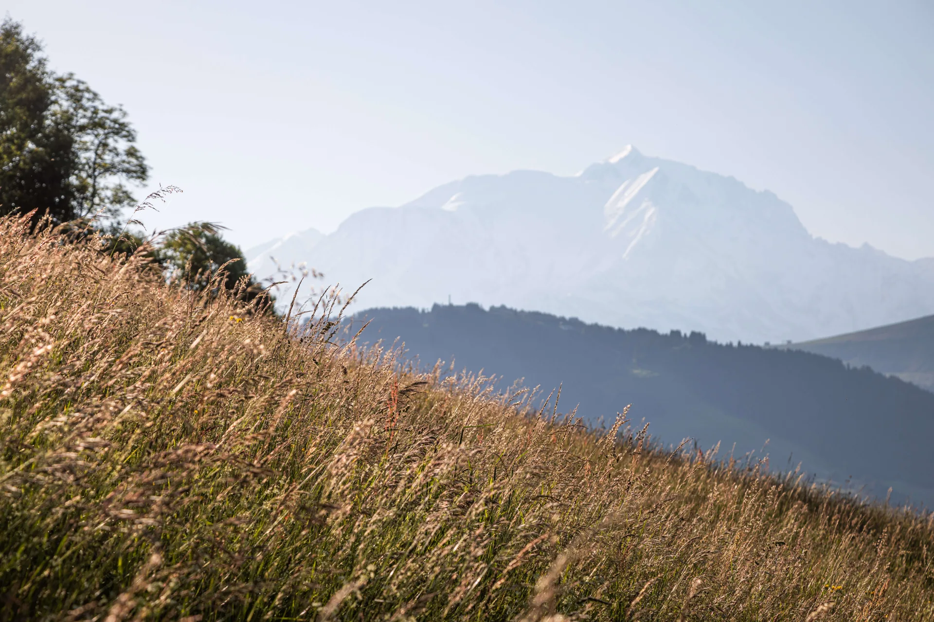 Paysage megève Jaillet été