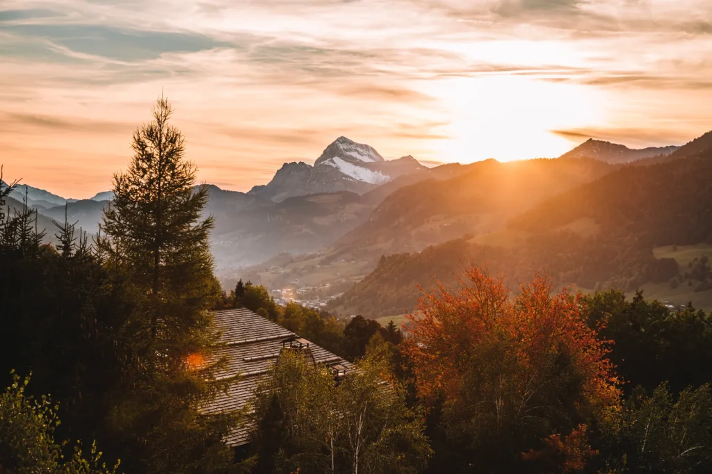 paysage d