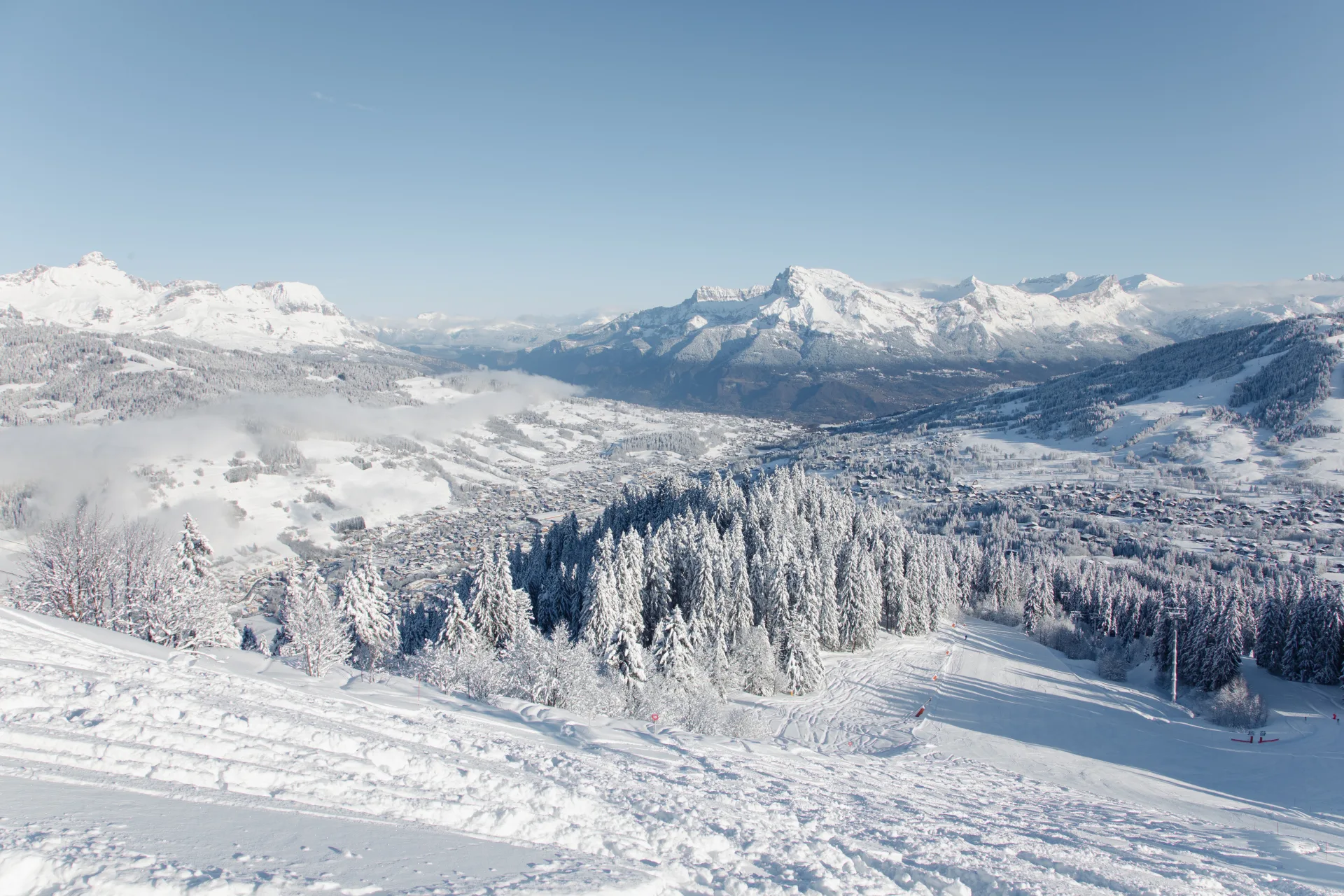 paysage de montagnes et sapins dans la neige