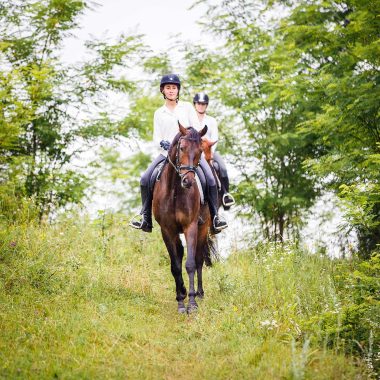 Equitation