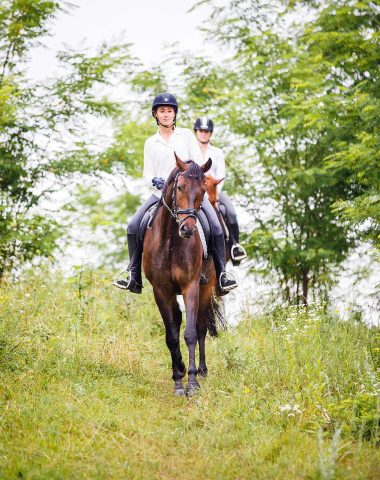 Equitation