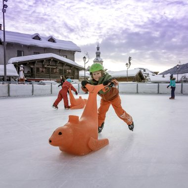 Activités sur glace