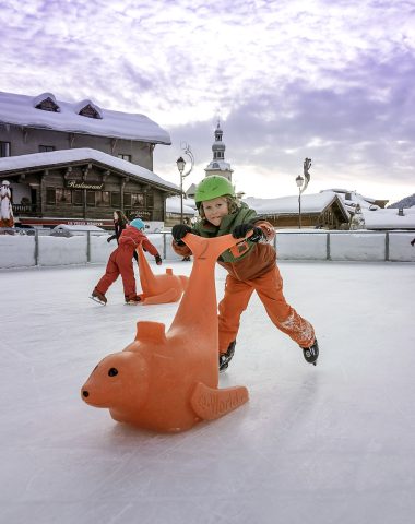 Activités sur glace