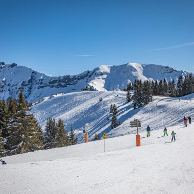 Domaine alpin