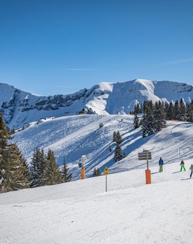 Domaine alpin