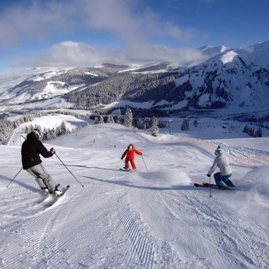 Ski Alpin