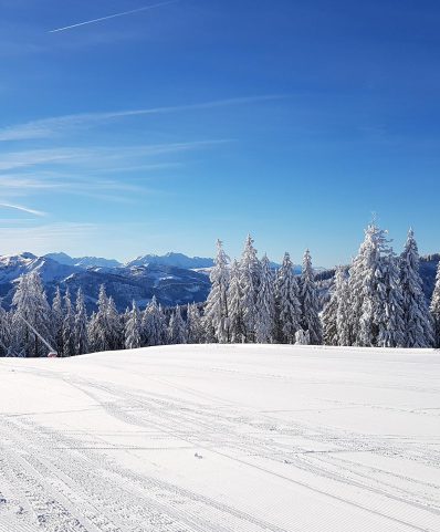 Station de ski