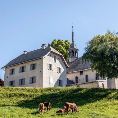 Guided tours