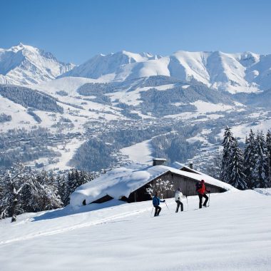 Activités vue Mont-Blanc