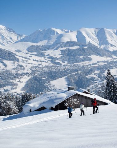 Activités vue Mont-Blanc