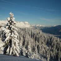 Domaine alpin