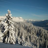 paisaje-megeve-entorno-natural-abetos-montaña-nevada