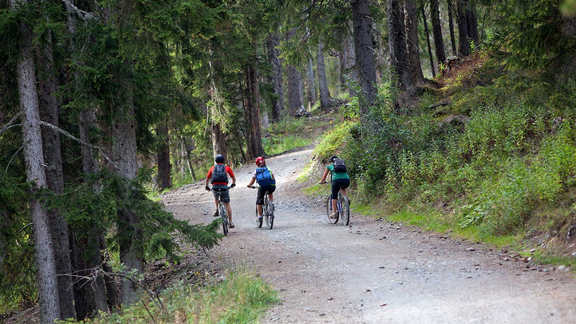 ركوب الدراجات الجبلية