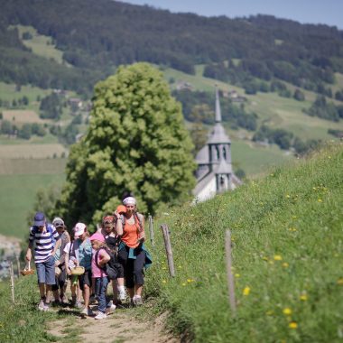 Stages pour enfants