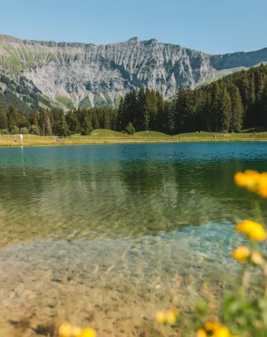 Lago Javen