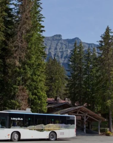 Автобус Мегбас