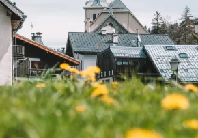 Dorf Megève Frühlingsblumen