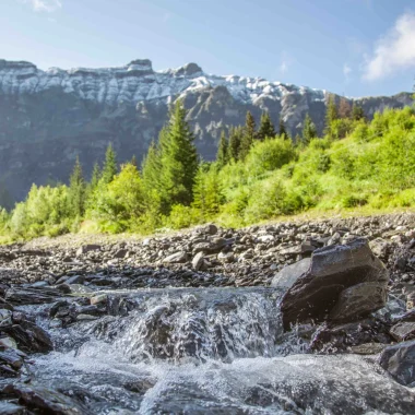 Needle Croche Schnee Sommer Natur