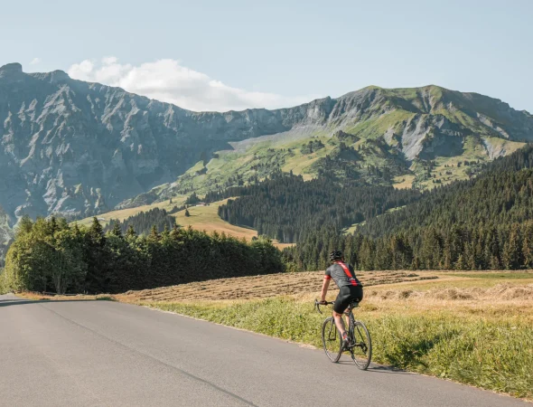 Cycliste vélo montagne été