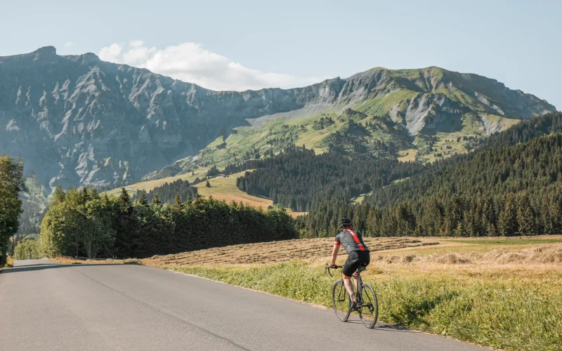 Cycliste vélo montagne été