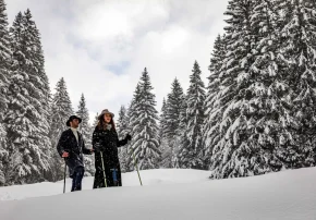 Alpinisme hivernal guidé