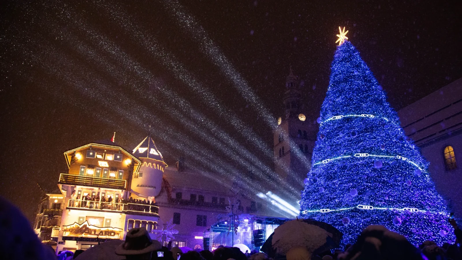 illumination du sapin 2025