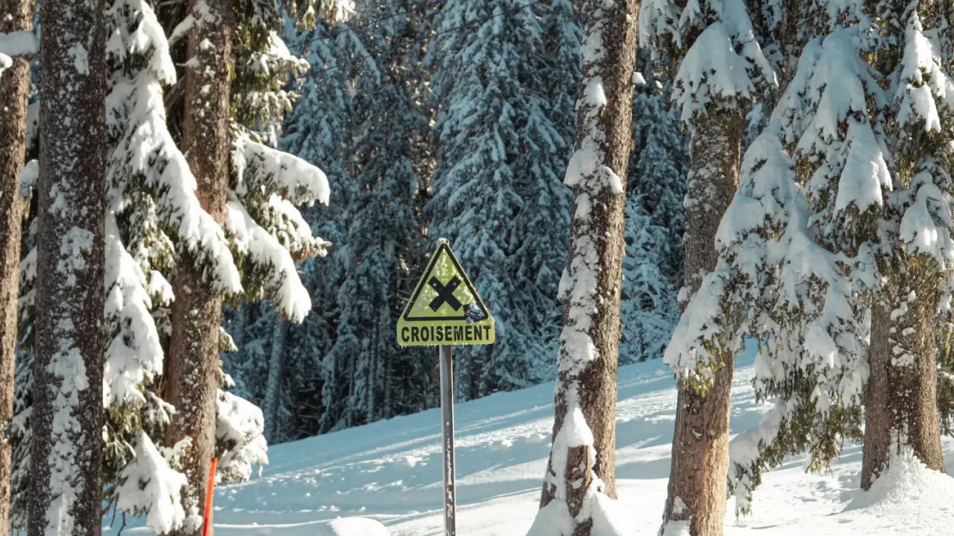 panneau attention croisement de piste de ski
