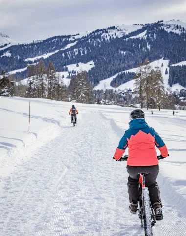 vélos dans la neige
