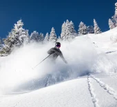 hors piste skieur dans la neige poudreuse