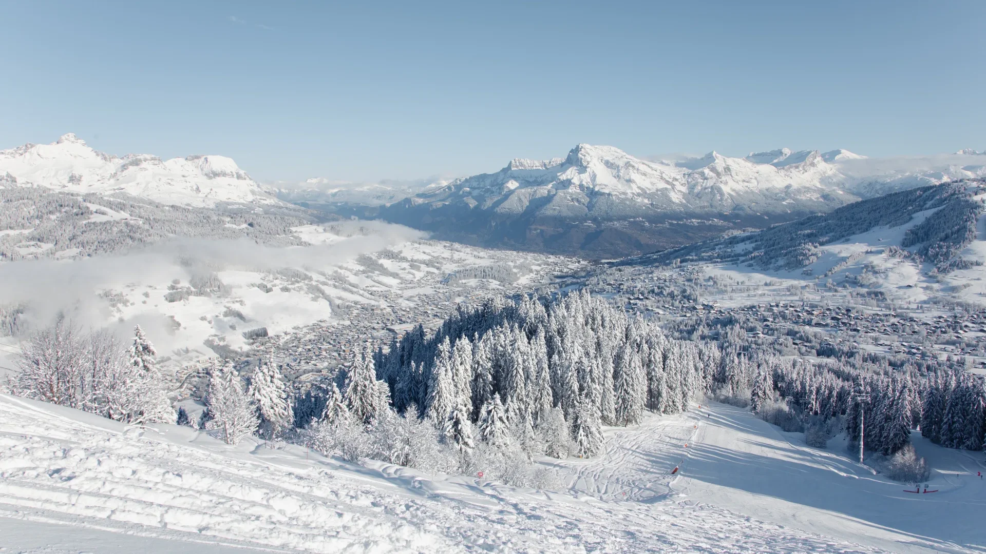 paysage de montagnes et sapins dans la neige