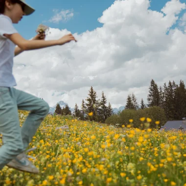 Enfants dans un champ de fleurs en montagne à Megève en été