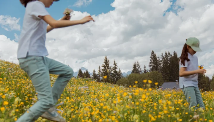 5 bonnes raisons de découvrir Megève en juin