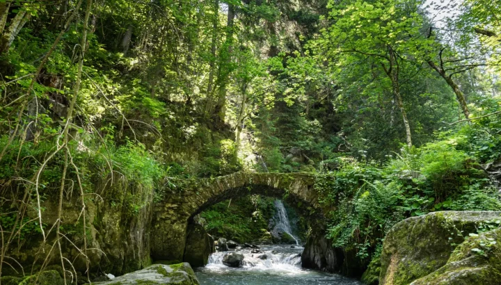 Un printemps alpin à Megève