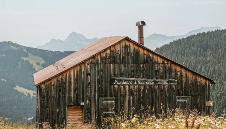 10 activités en montagne cet été